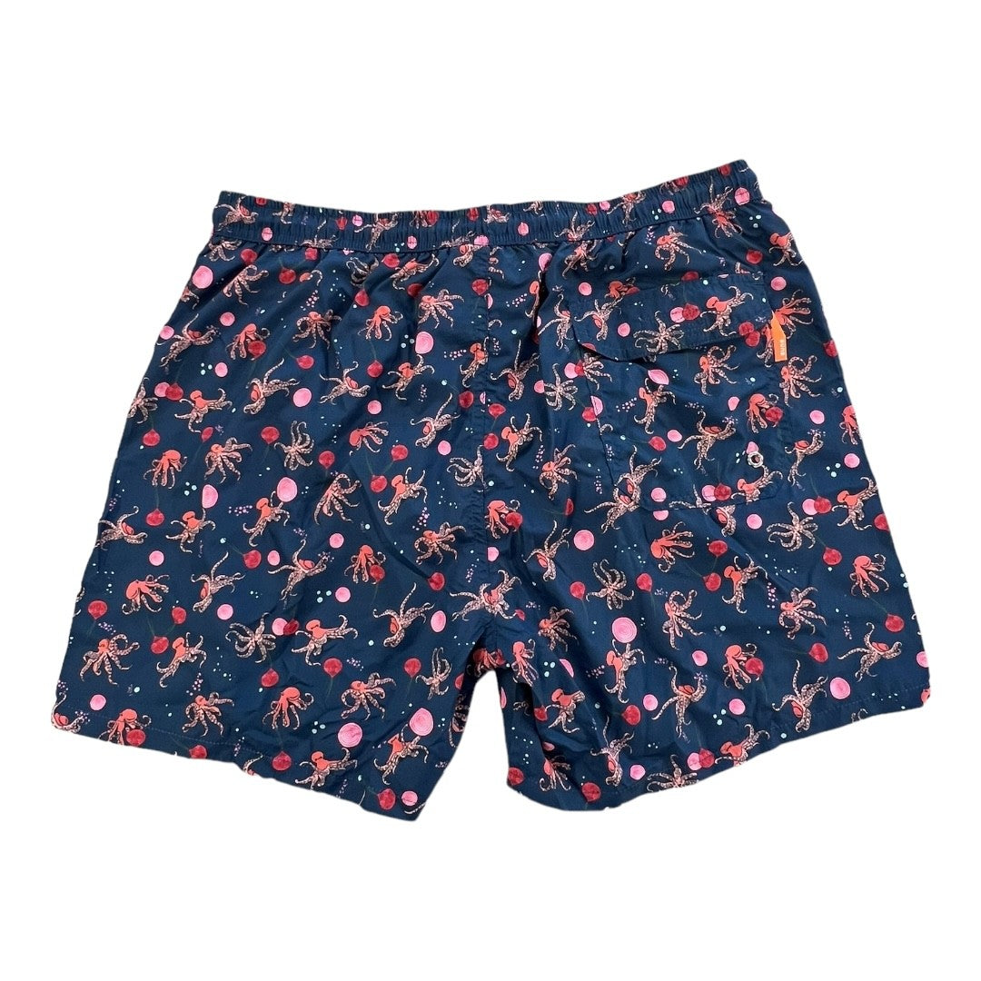 Suns Boxer Mare Capri