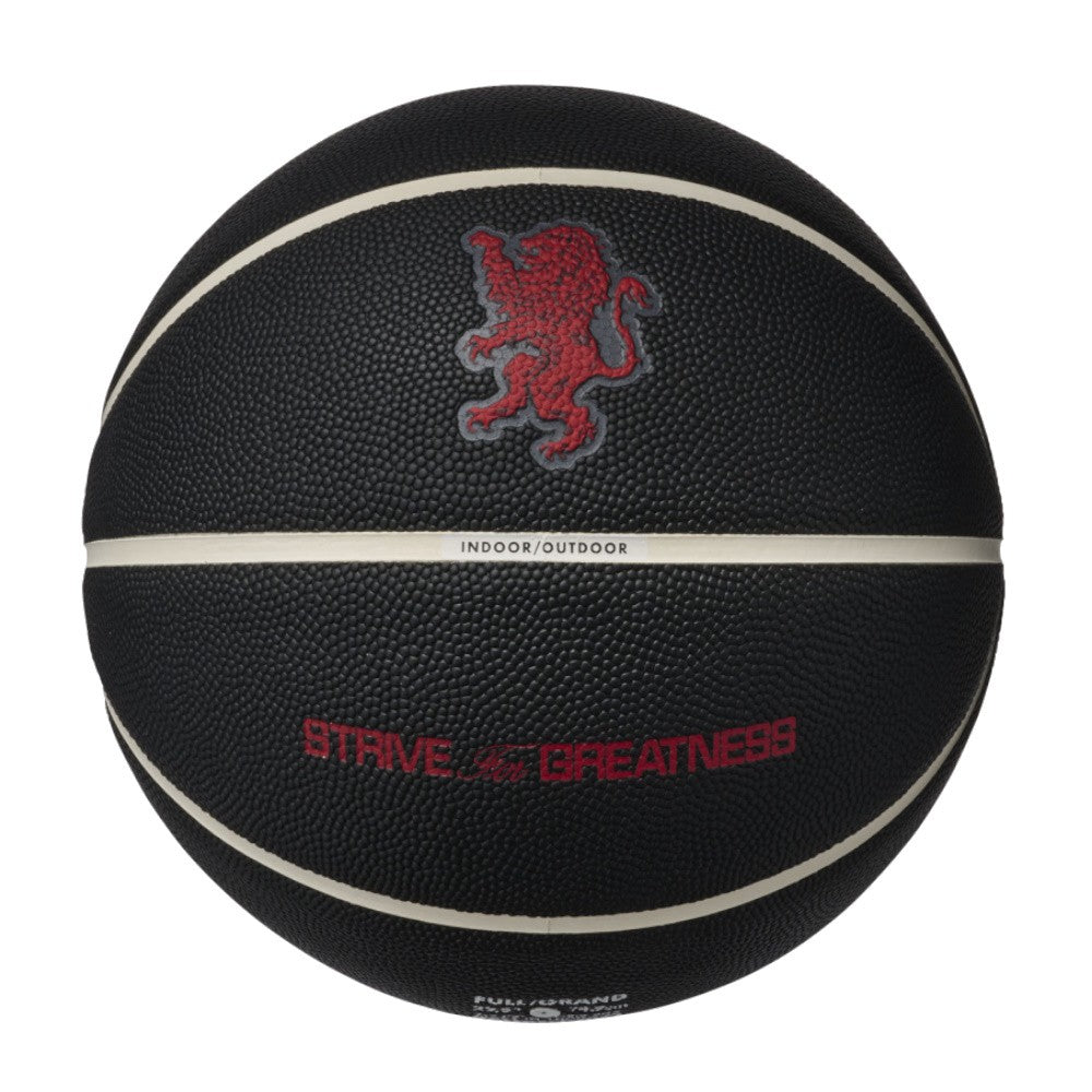 Nike Pallone Basket Lebron All Court