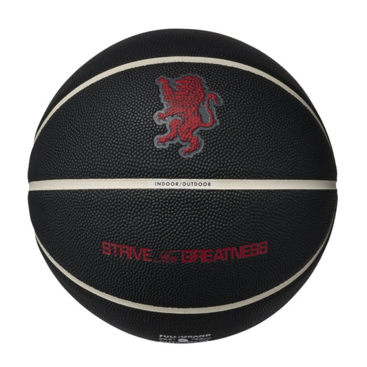 Nike Pallone Basket Lebron All Court