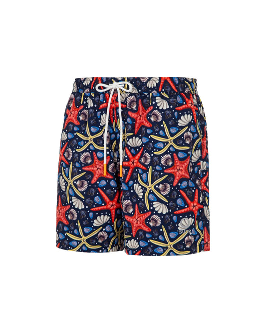 Suns Boxer Mare Capri "Starfish"