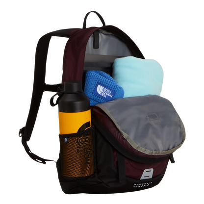 The North Face Zaino Borealis Classic