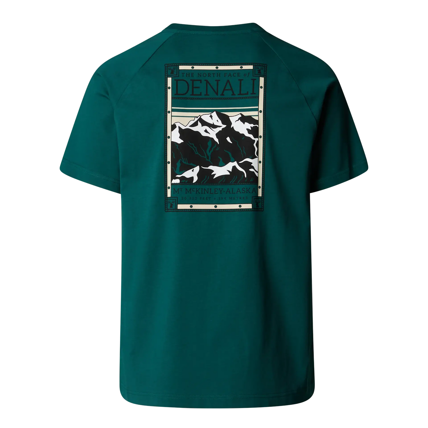The North Face Faces Tee