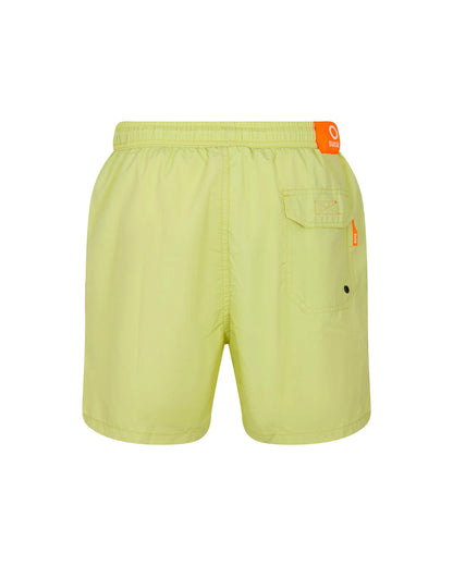Suns Boxer Mare Santa Margherita "Lime"