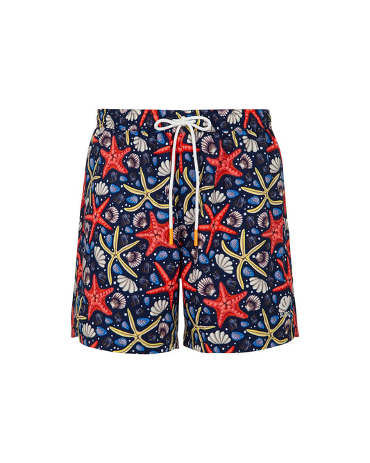Suns Boxer Mare Capri "Starfish"