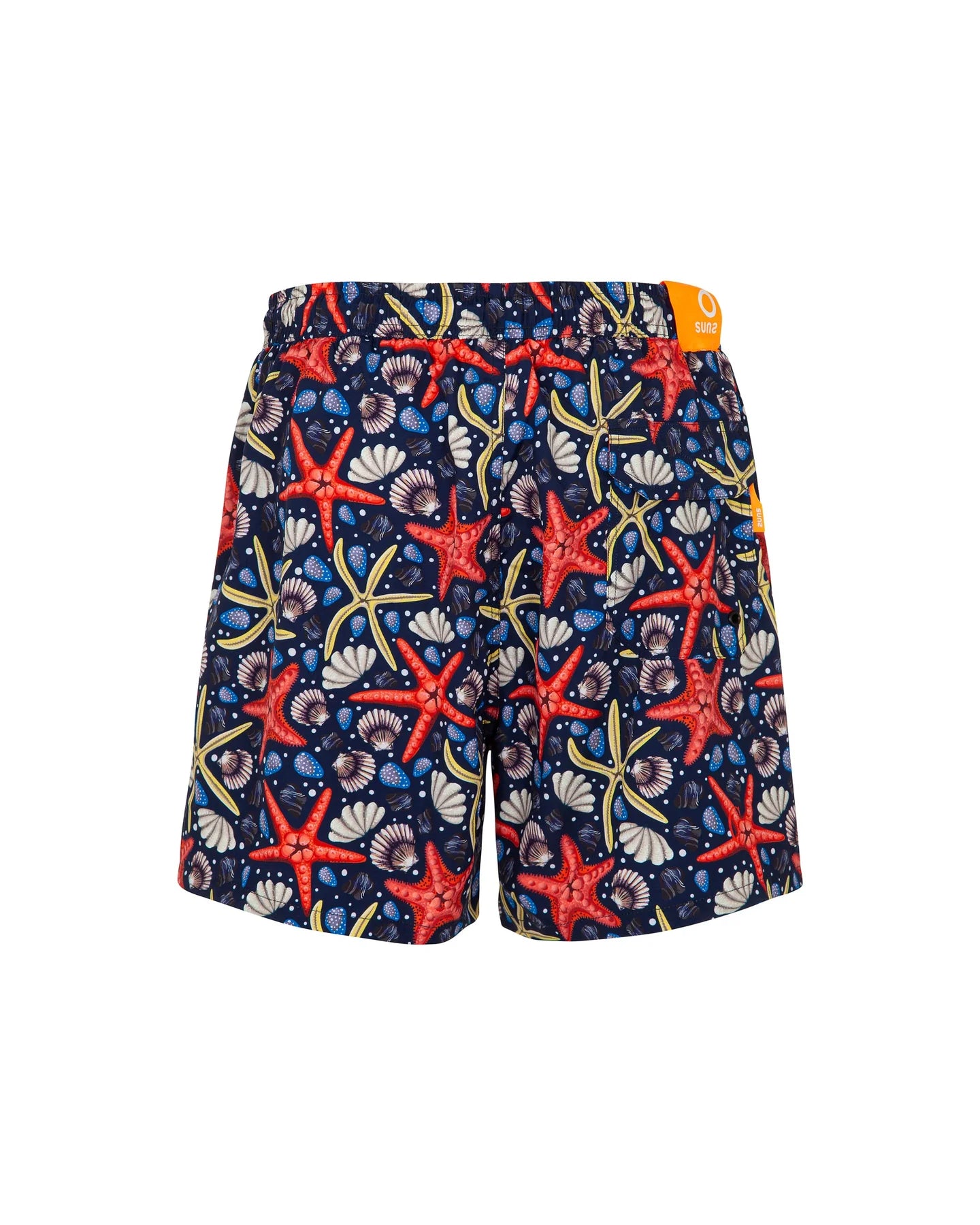 Suns Boxer Mare Capri "Starfish"