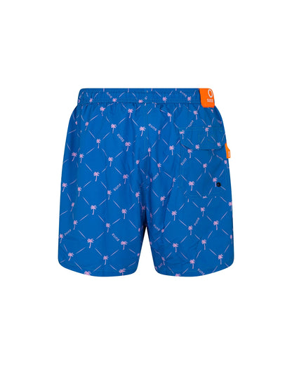 Suns Boxer Mare Capri "Mini Palm Royal"