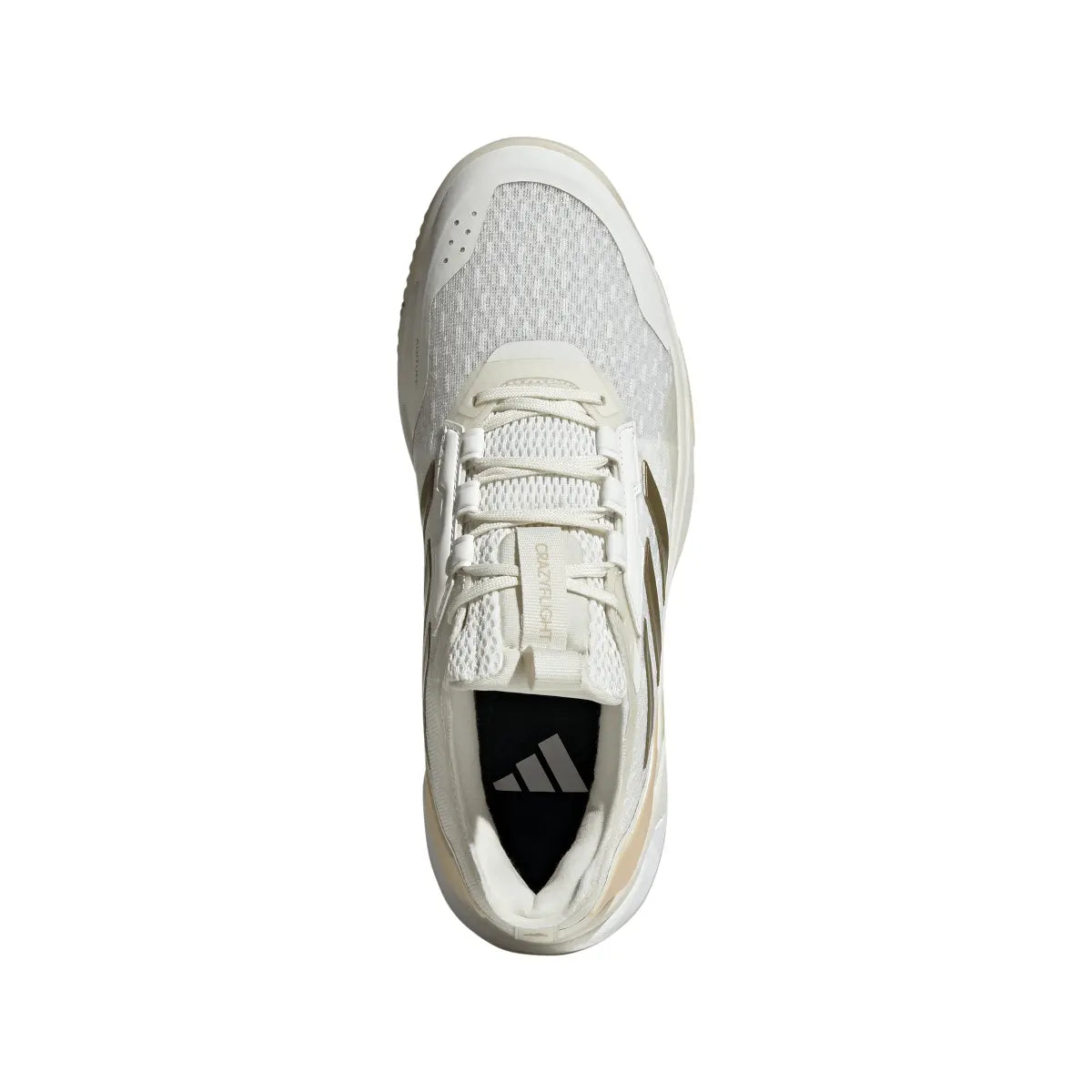 Adidas Volley Crazyflight 6 Low