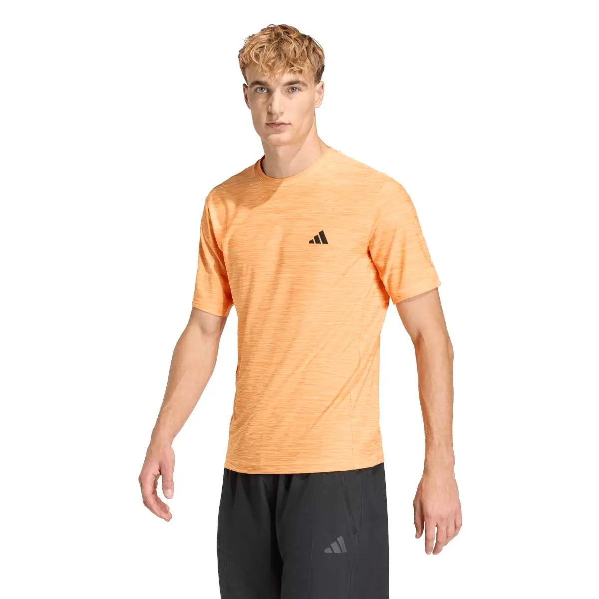 Adidas T-Shirt Workout Essential Flex Tee