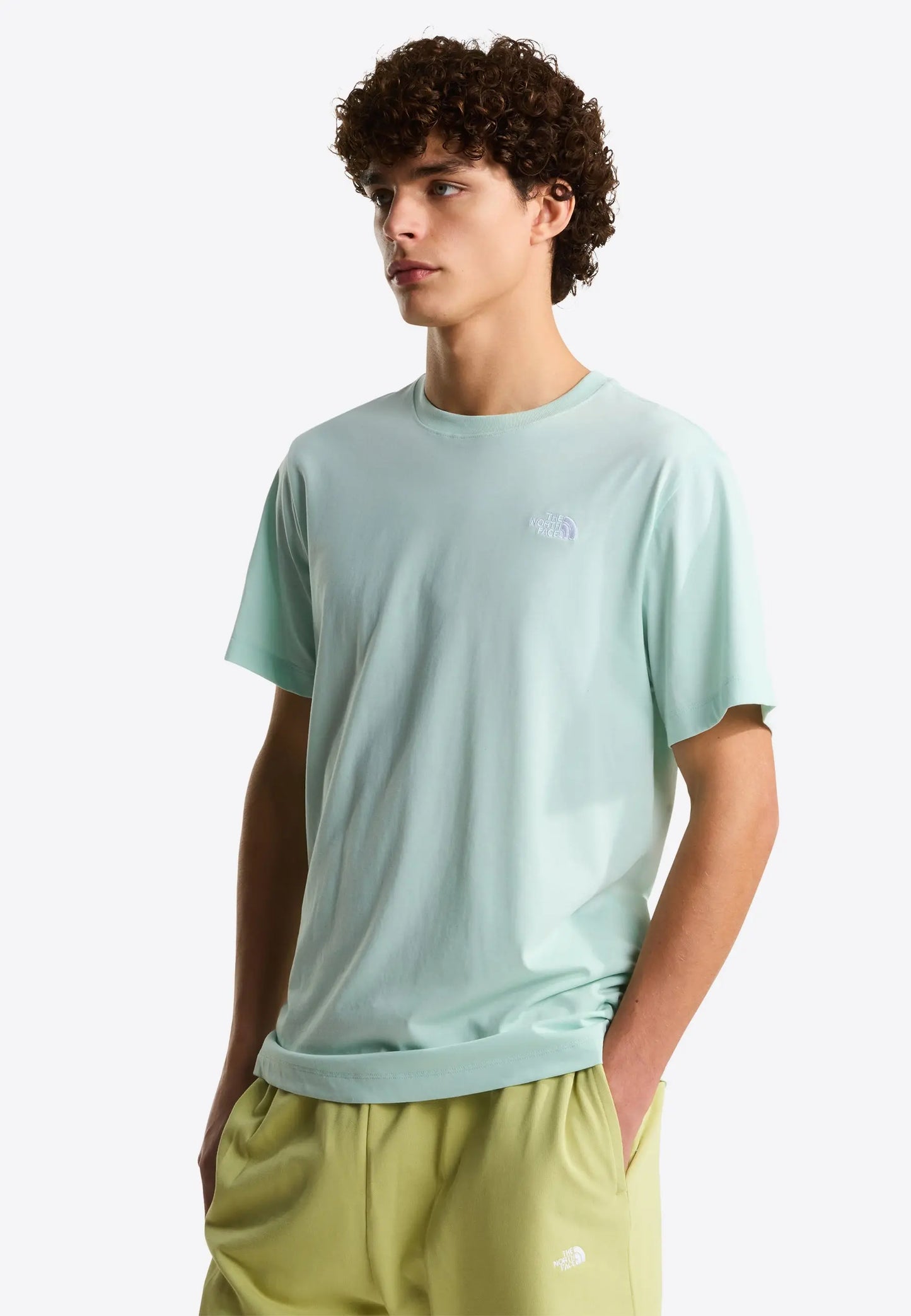 The North Face T-Shirt Evolution Simple Dome